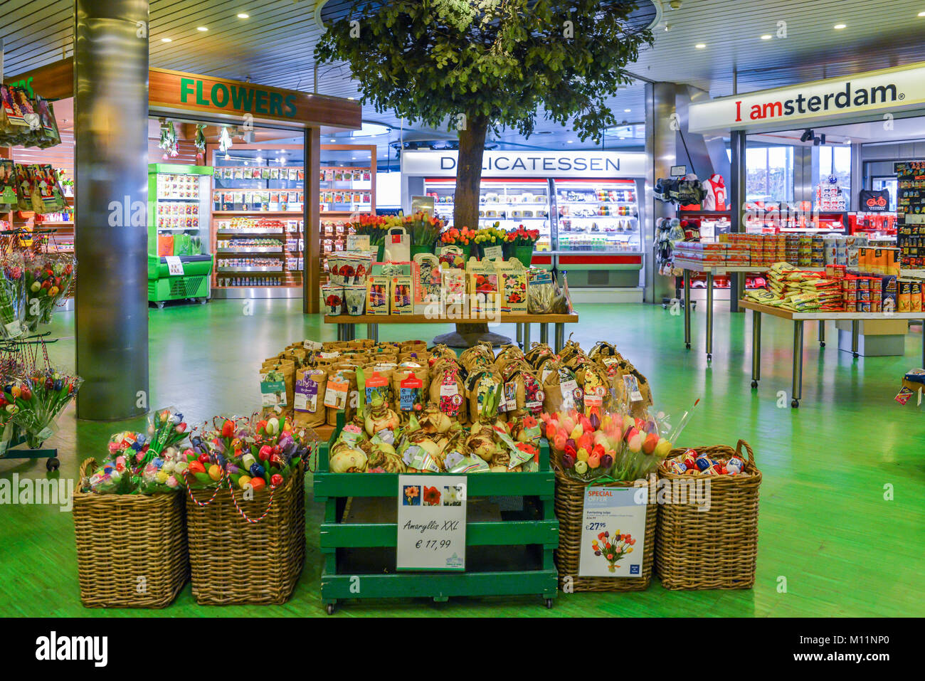Lampadine olandese e tulipani in vendita all'aeroporto di Schiphol, Paesi Bassi. Si raccomanda a tutti i visitatori di visitare il Keukenhof per vedere tulip varietà Foto Stock