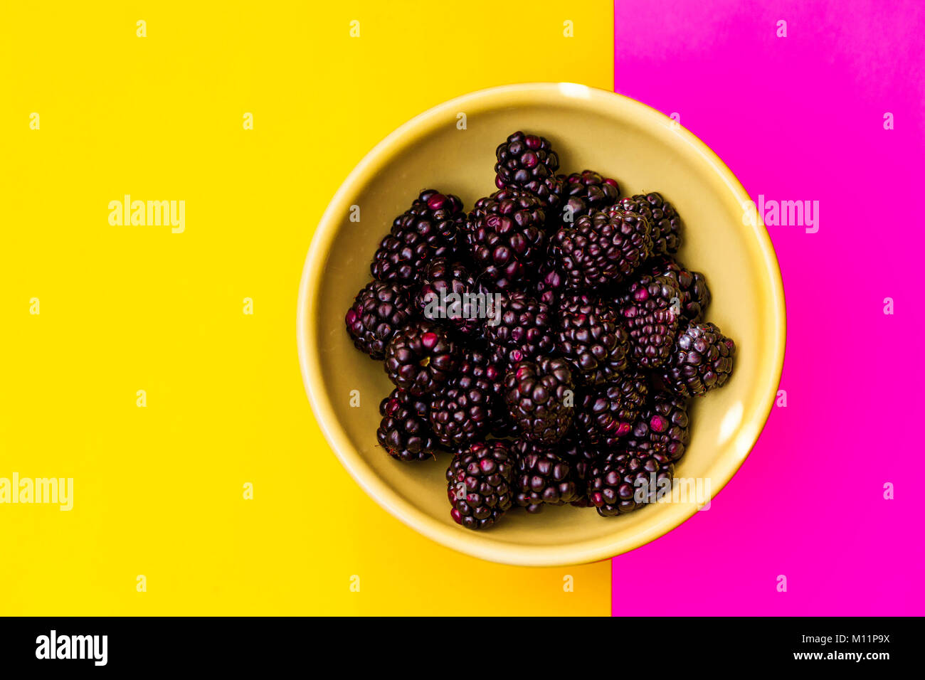 Ciotola di more sulla suddivisione per colore sfondo giallo e rosa Foto Stock