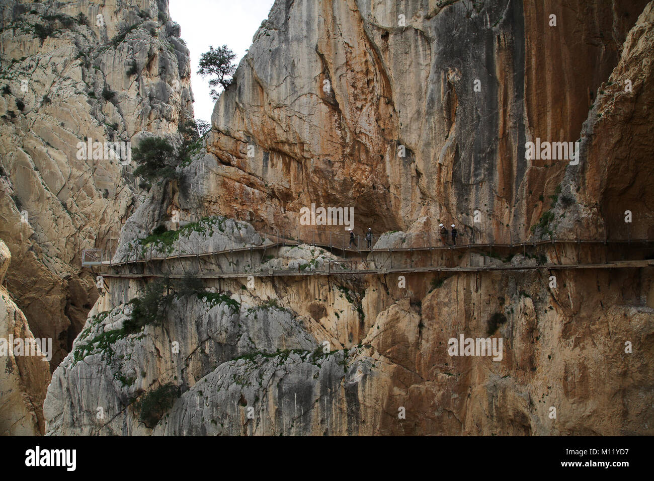 Camino o Il Caminito del Rey.un percorso escursionistico o boardwalk lungo la gola a El Chorro Málaga Spagna.2,9 km di distanza. Foto Stock