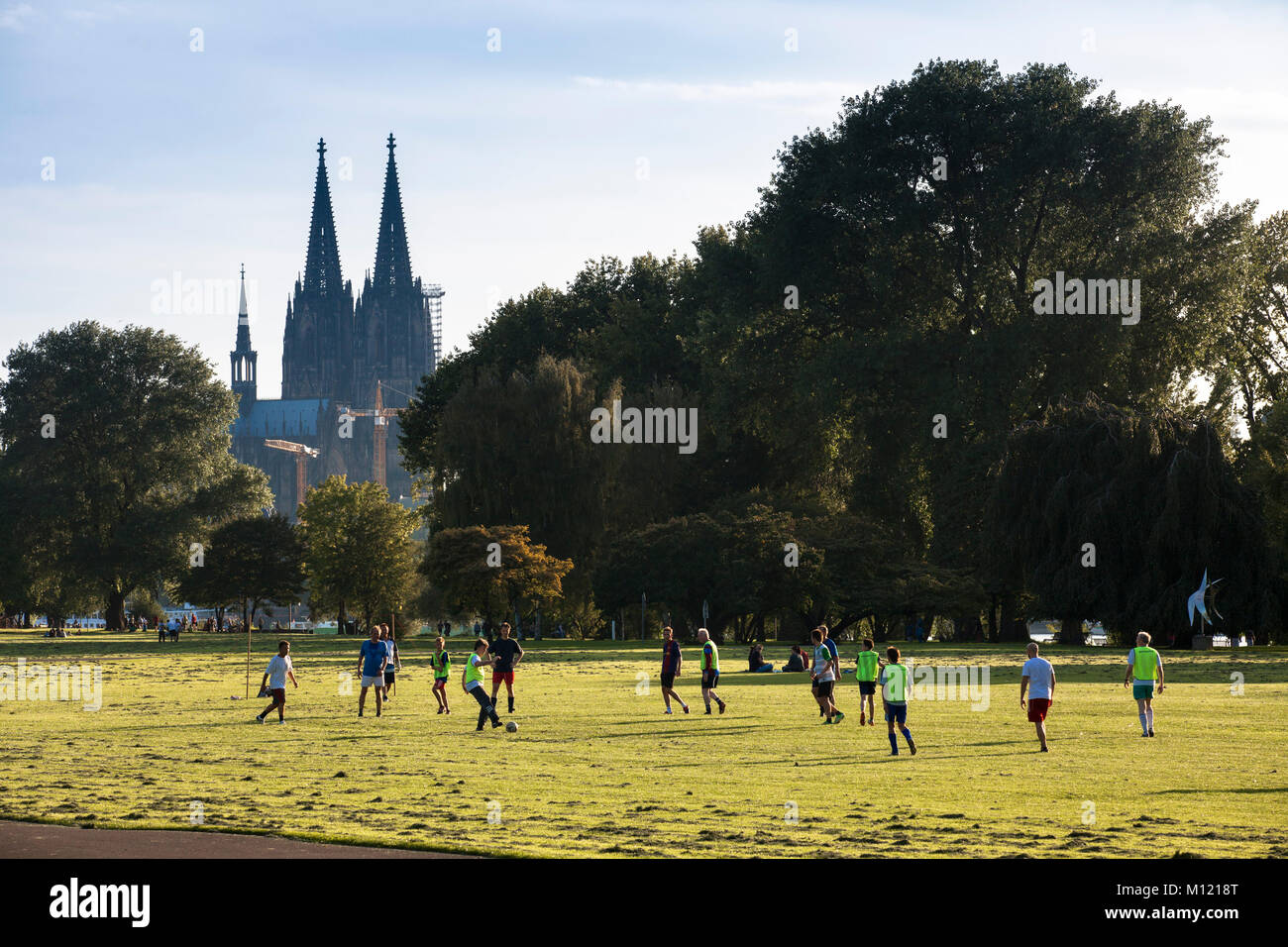 Germania, Colonia, il parco del Reno nel quartiere Deutz, vista della cattedrale. Deutschland, Koeln, der Rheinpark in Deutz, Blick zum Dom. Foto Stock