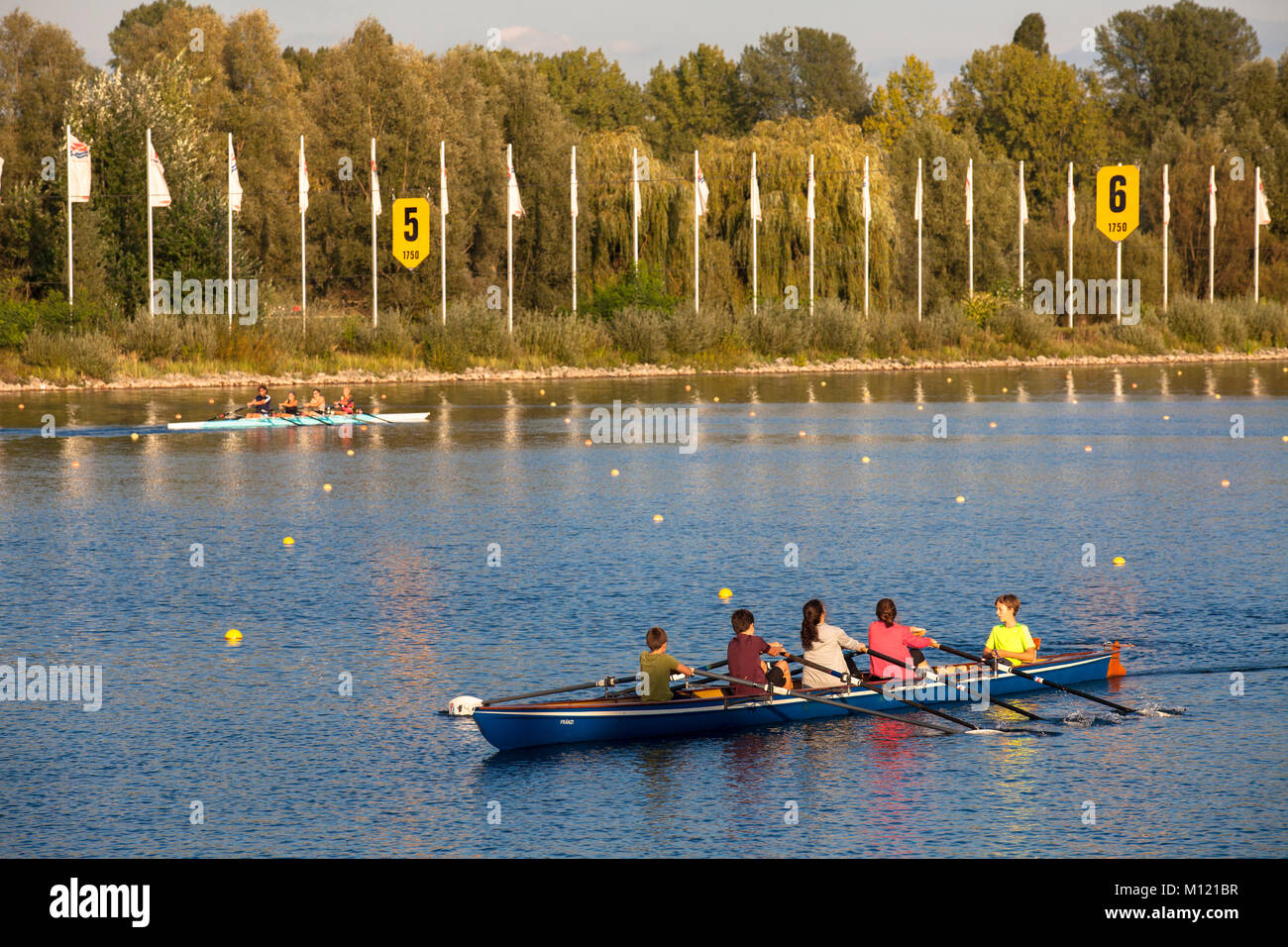 Germania, Colonia, boat race course presso il lago Fuehlingen, sculler. Deutschland, Koeln, Regattastrecke am Fuehlinger vedere, Ruderer. Foto Stock
