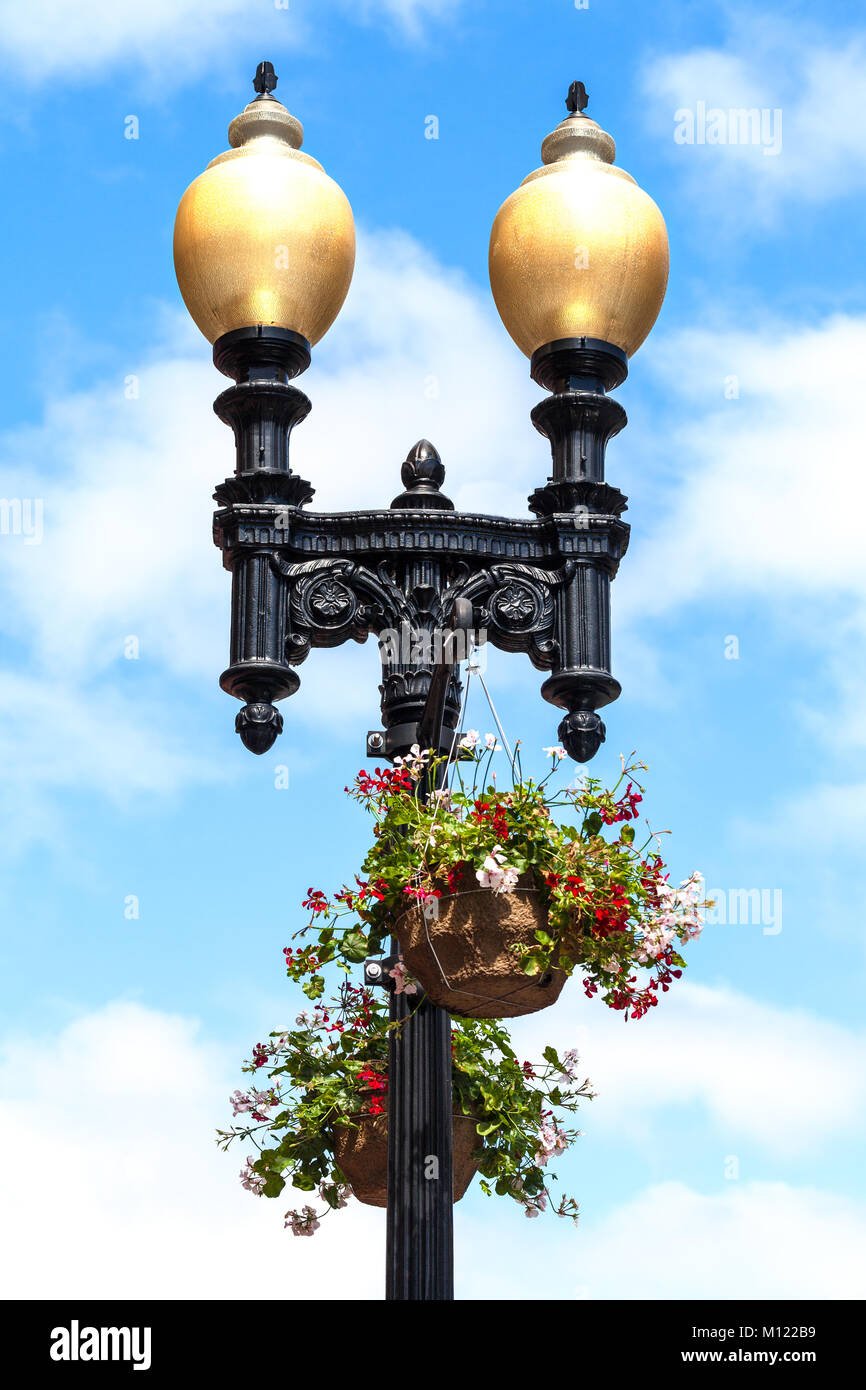 La Harvard University Street lampade decorate con cesti floreali pendenti. Cambridge Mass. Close up dettaglio Foto Stock