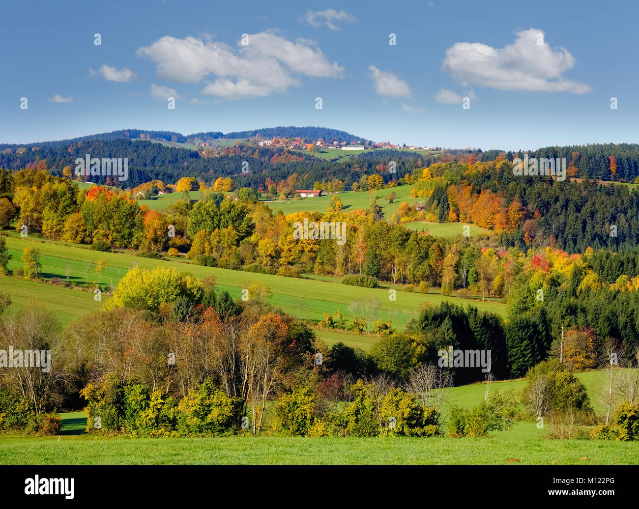 Paesaggio autunnale,Hohenau,Foresta Bavarese,Bassa Baviera, Baviera, Germania Foto Stock