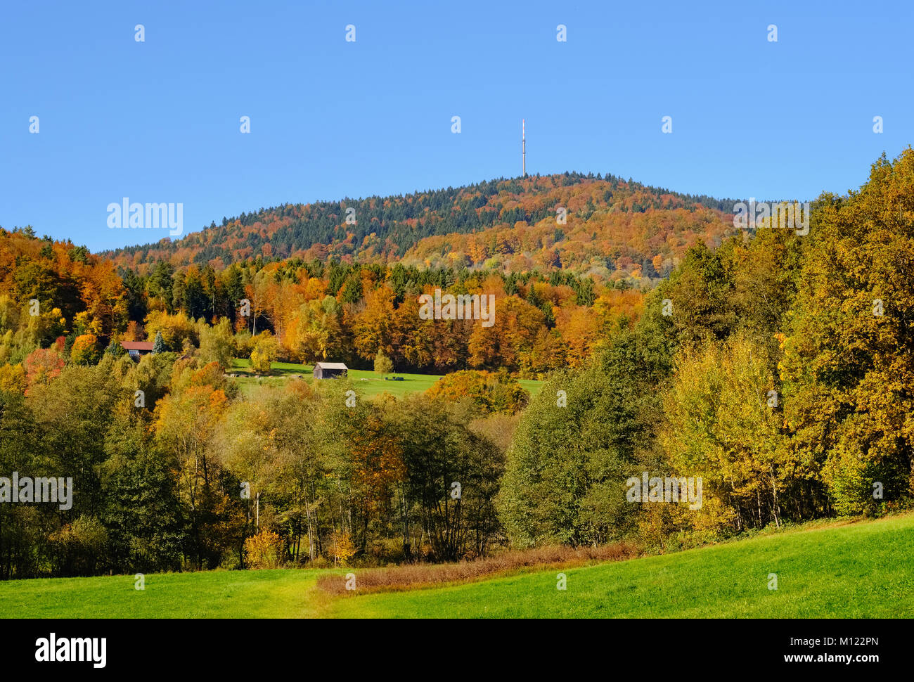 Montare Brotjacklriegel,Foresta Bavarese,Bassa Baviera, Baviera, Germania Foto Stock