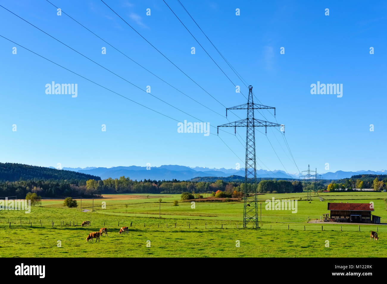 Linea ad alta tensione nei pressi di Egling,Prealpi,Alta Baviera, Baviera, Germania Foto Stock