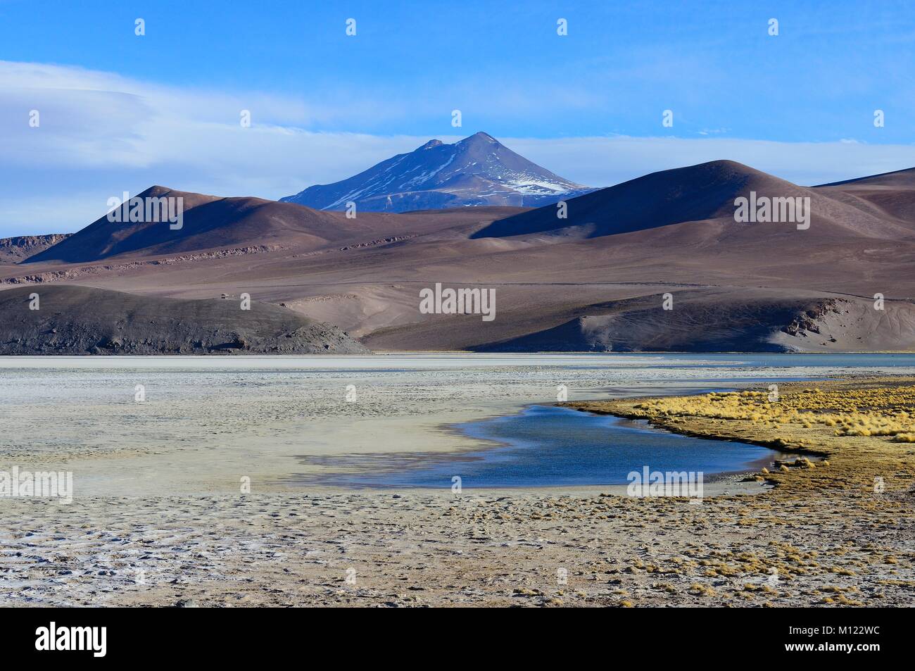 Laguna Santa Rosa con i vulcani del Nevado Ojos del Salado,Parco Nazionale Nevado Tres Cruces,Región de Atacama, Cile Foto Stock