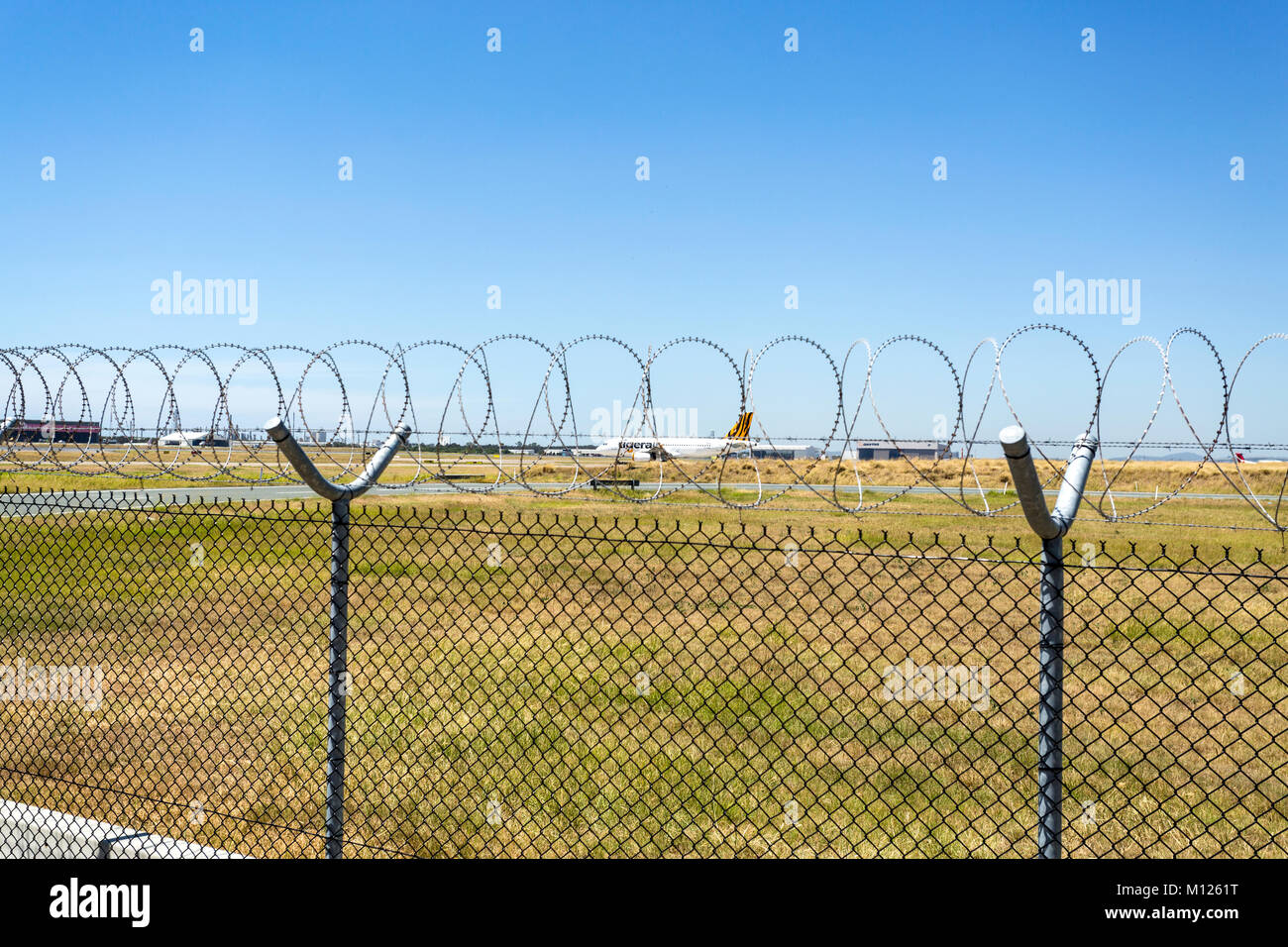 Un Tigerair320-232 rullaggio per il decollo all'Aeroporto di Brisbane Australia Foto Stock