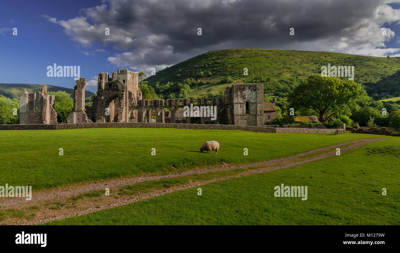 Le rovine di Llanthony Priory, Brecon Beacons, Galles Foto Stock