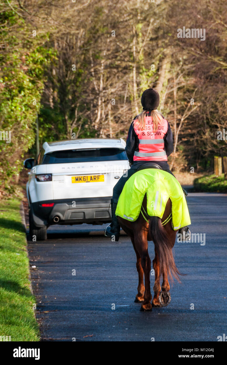 Cavallo-ciclista su strada di un paese con cavallo e cavaliere in fluorescent hi vis abbigliamento.. Foto Stock
