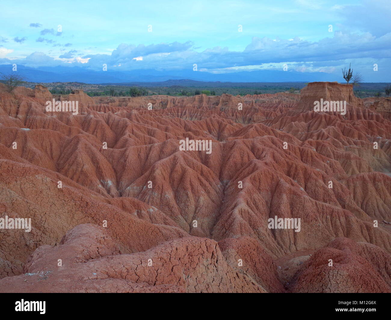 Il paesaggio marziano di Cuzco, il Deserto Rosso, parte della Colombia Tatacoa Desert. La zona è un'antica foresta secca e una popolare destinazione turistica Foto Stock