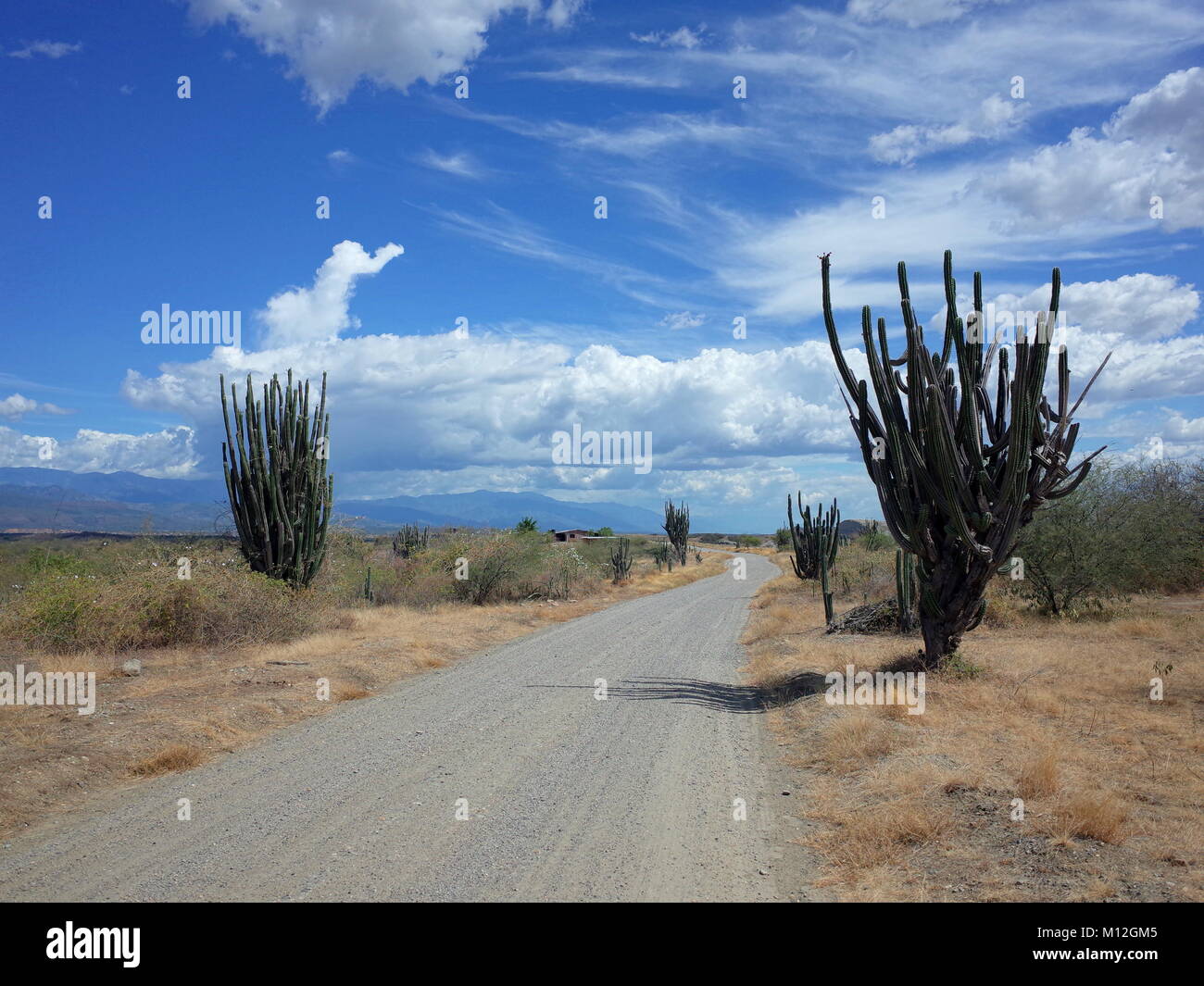 La strada che corre attraverso il colombiano Tatacoa Desert, il collegamento di Cuzco con Los Hoyos Foto Stock