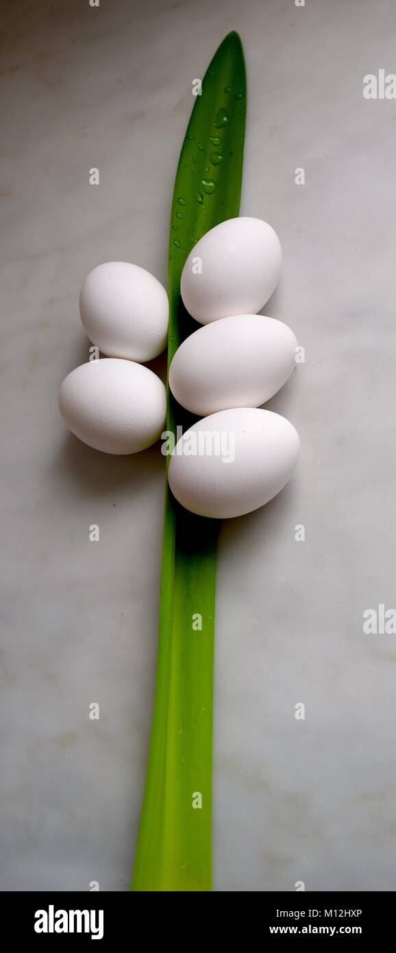 Il design di pasqua con le uova bianche composizione floreale Foto Stock