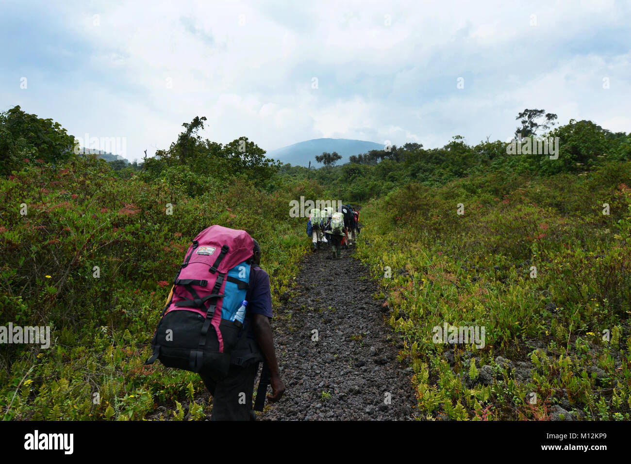 Escursionismo alto vulcano Nyiragongo nel parco nazionale di Virunga, D.R.C Foto Stock