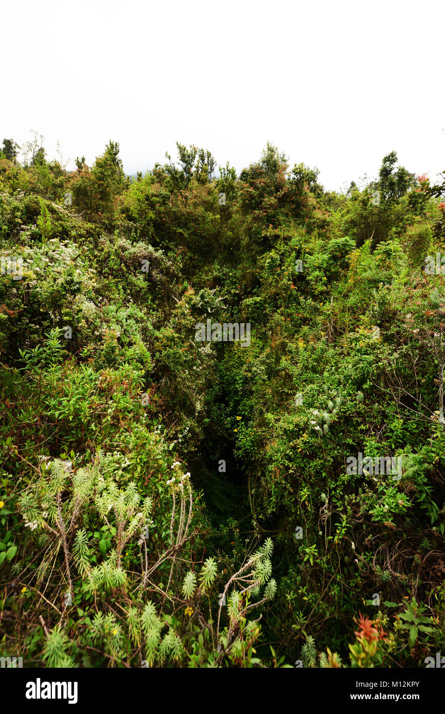 L'eruzione 2002 punto sul vulcano Nyiragongo nel parco nazionale di Virunga, D.R.C Foto Stock