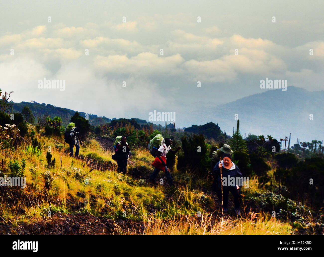 Escursionismo alto vulcano Nyiragongo nel parco nazionale di Virunga, D.R.C Foto Stock
