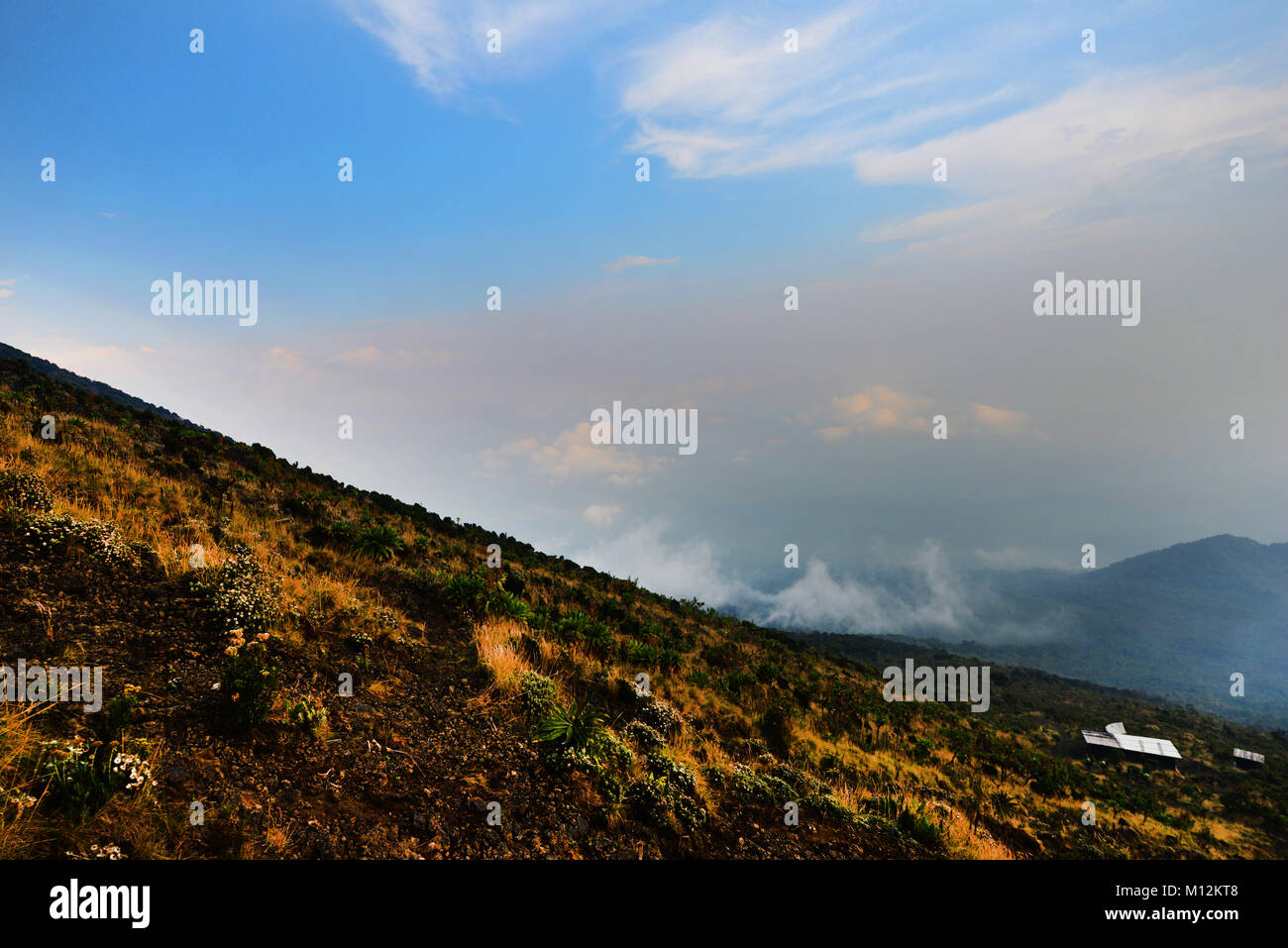 Escursionismo alto vulcano Nyiragongo nel parco nazionale di Virunga, D.R.C Foto Stock