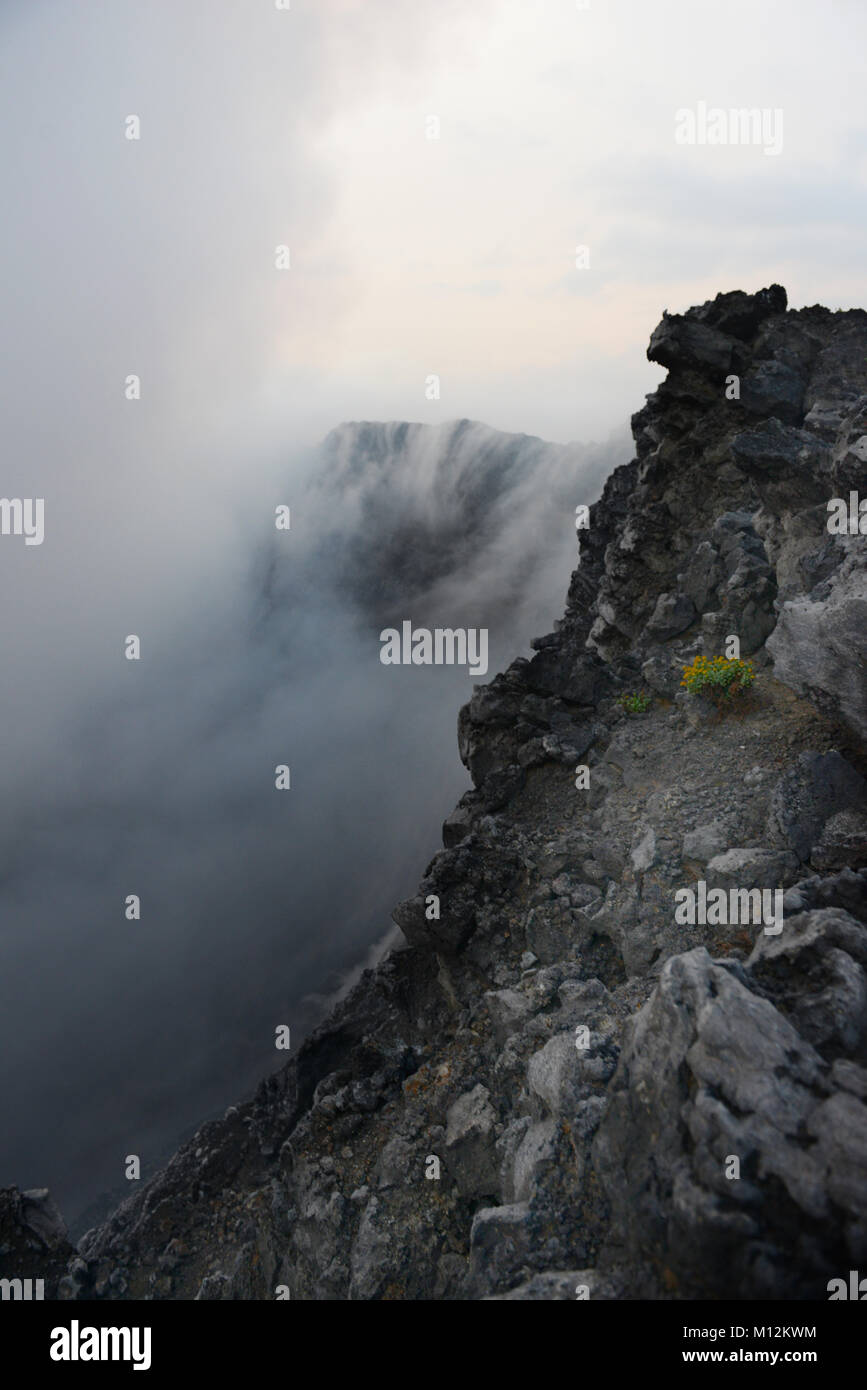 Vulcano Nyiragongo nella catena dei Virunga, D.R.C Foto Stock