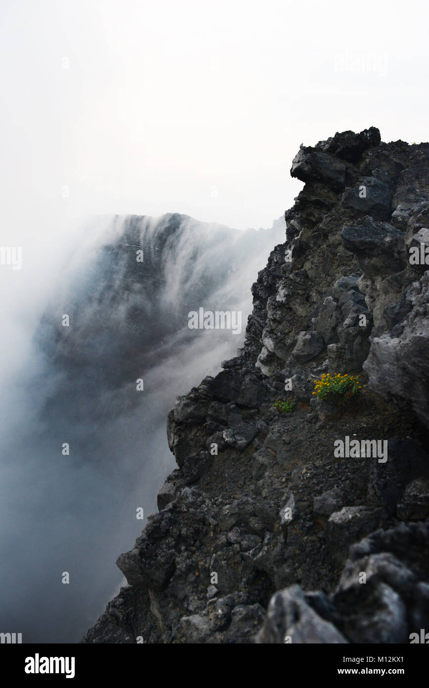 Vulcano Nyiragongo nella catena dei Virunga, D.R.C Foto Stock