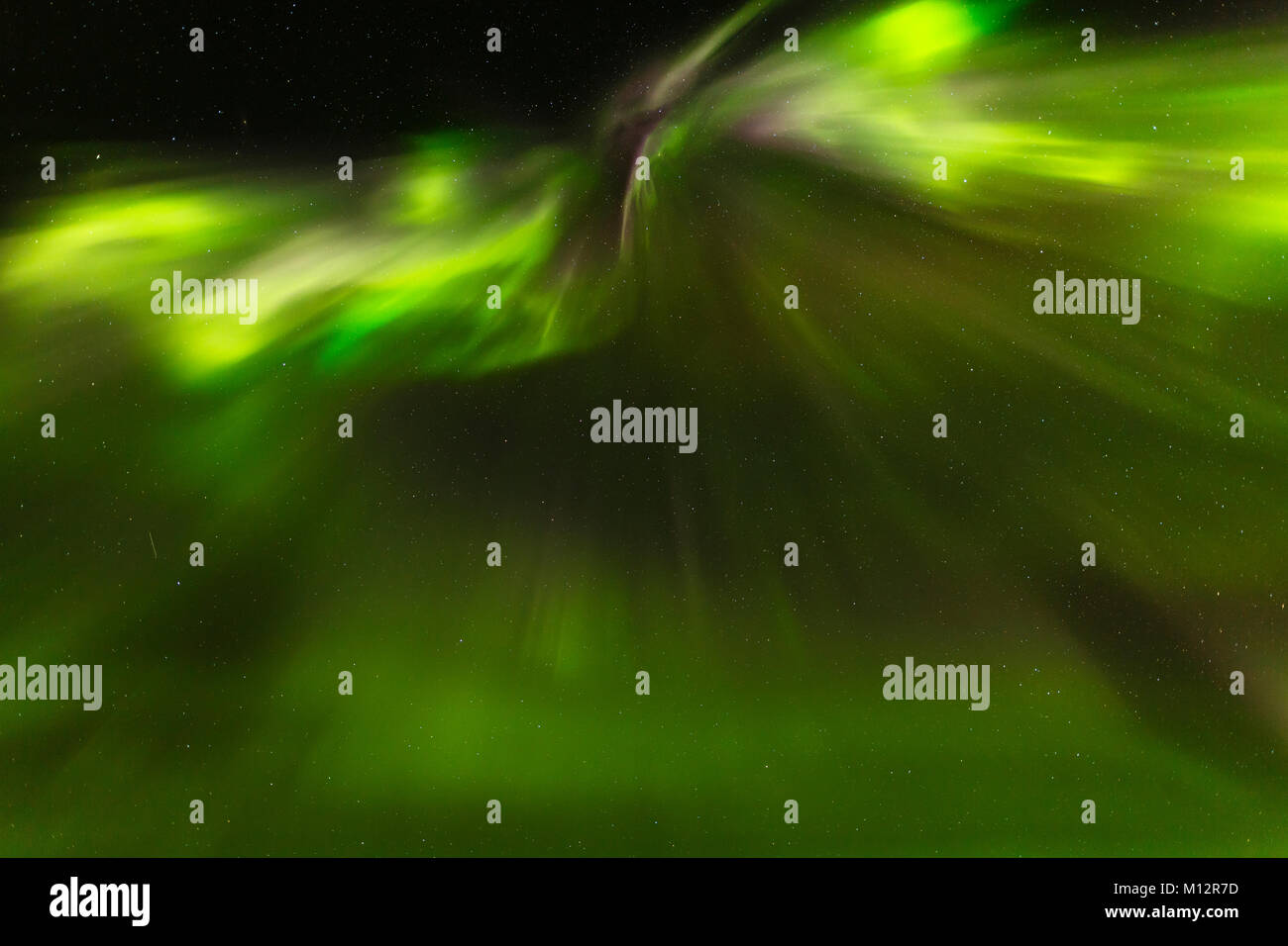 Aurora coronale sopra il fiume Teklanika nel Parco Nazionale di Denali in Alaska interiore. Foto Stock