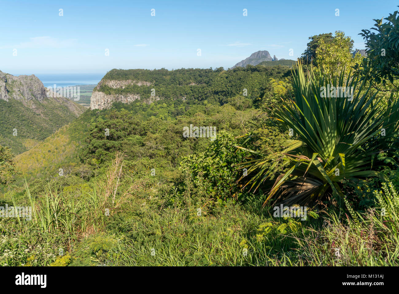 Gebirgslandschaft bei Henrietta, Mauritius, Afrika | Paesaggio a Henrietta, Mauritius, Africa Foto Stock