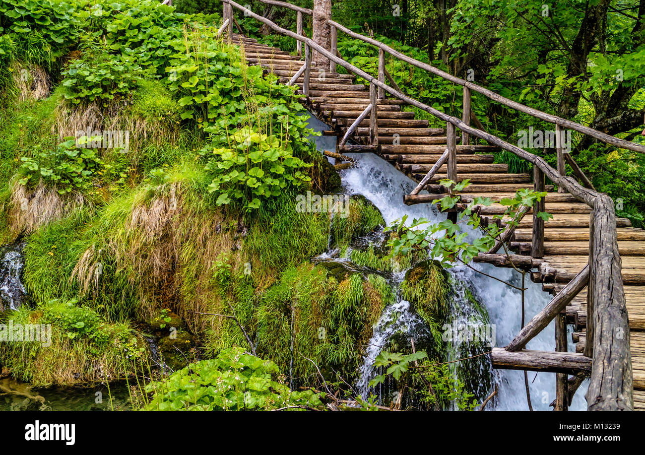 Il Boardwalk passi al Parco Nazionale dei Laghi di Plitvice, Croazia Foto Stock