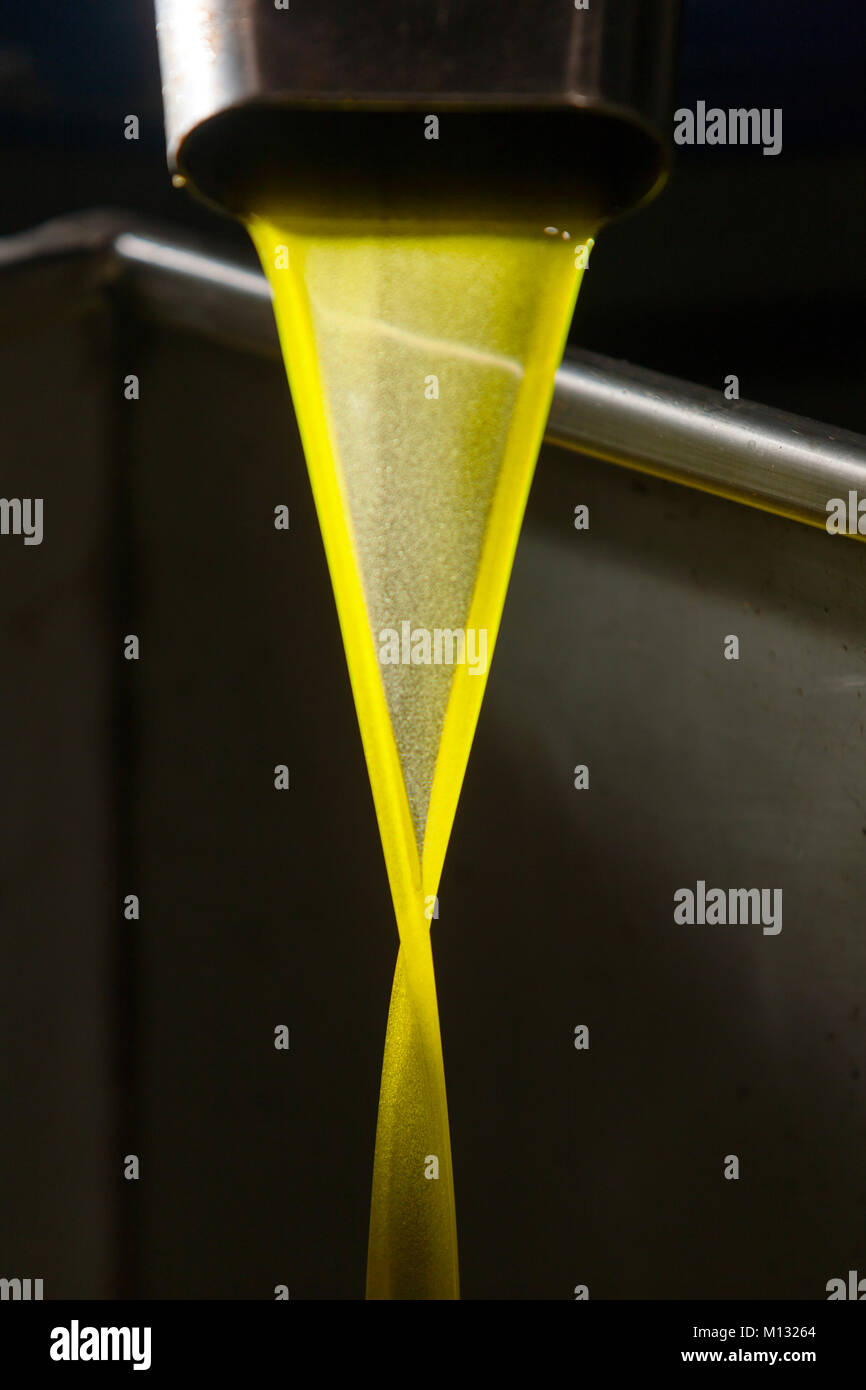 Olio di oliva puro pour caduta di un tubo dalla trasformazione in frantoio Foto Stock