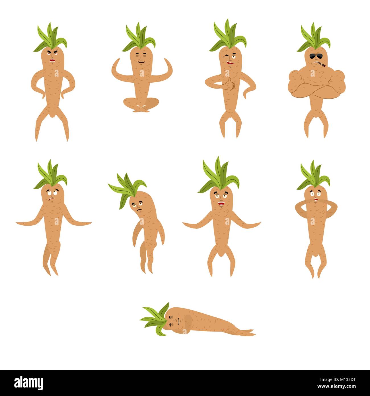 Mandrake radice impostata pone e movimento. Merry leggendario mistica pianta in forma di uomo. felice e yoga. dormire e arrabbiato. colpevole e triste Illustrazione Vettoriale