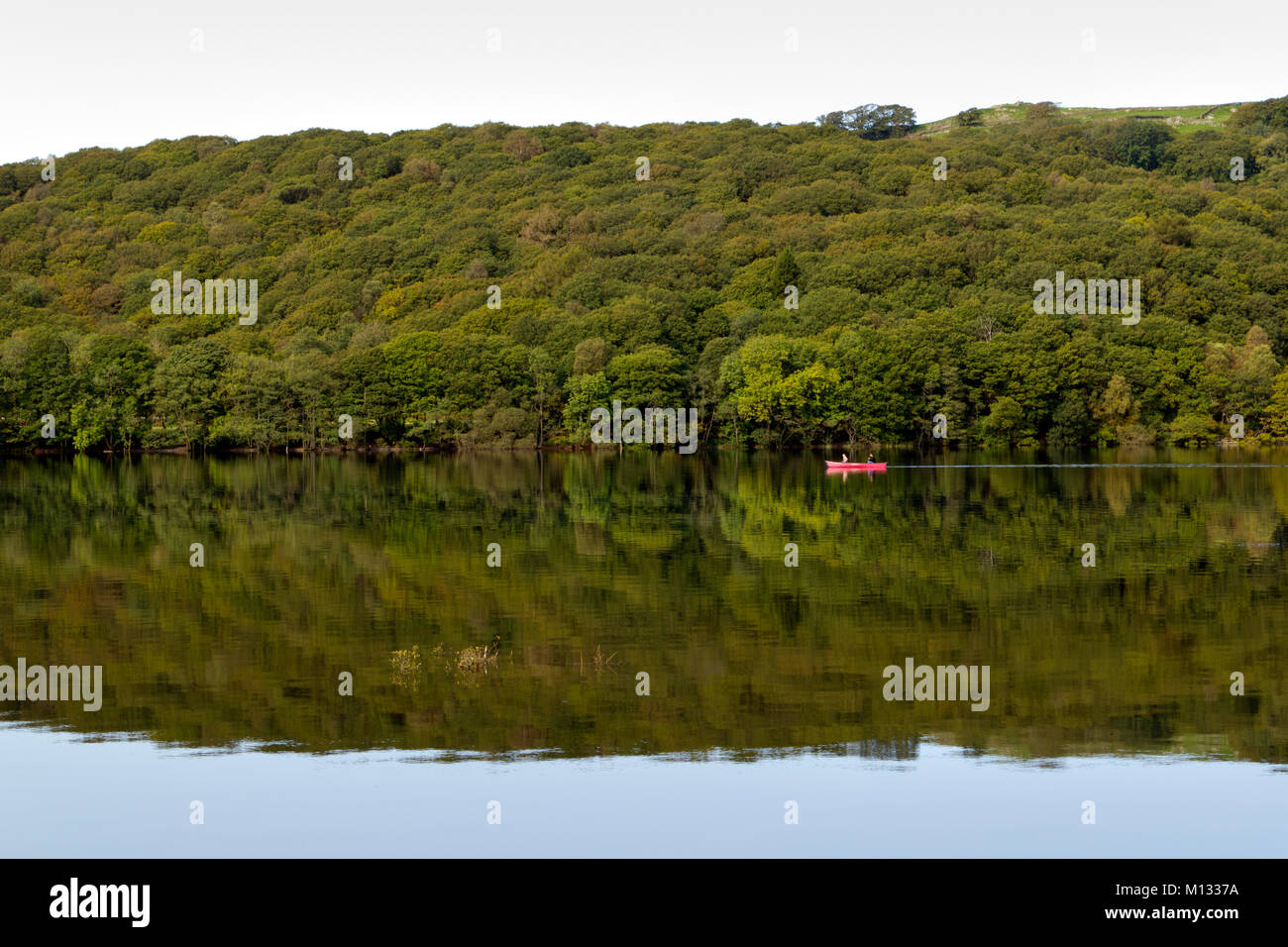 Coniston Water, Regno Unito - 15th settembre 2011: Due persone passano in una canoa rossa sull'acqua Coniston su una tranquilla e morta mattina presto autunno nel Lake District, Cumbria, Regno Unito. Le barche possono essere noleggiate sul lago, con barche di varie dimensioni a noleggio, da piccole canoe e kayak a grandi imbarcazioni personali. Foto Stock