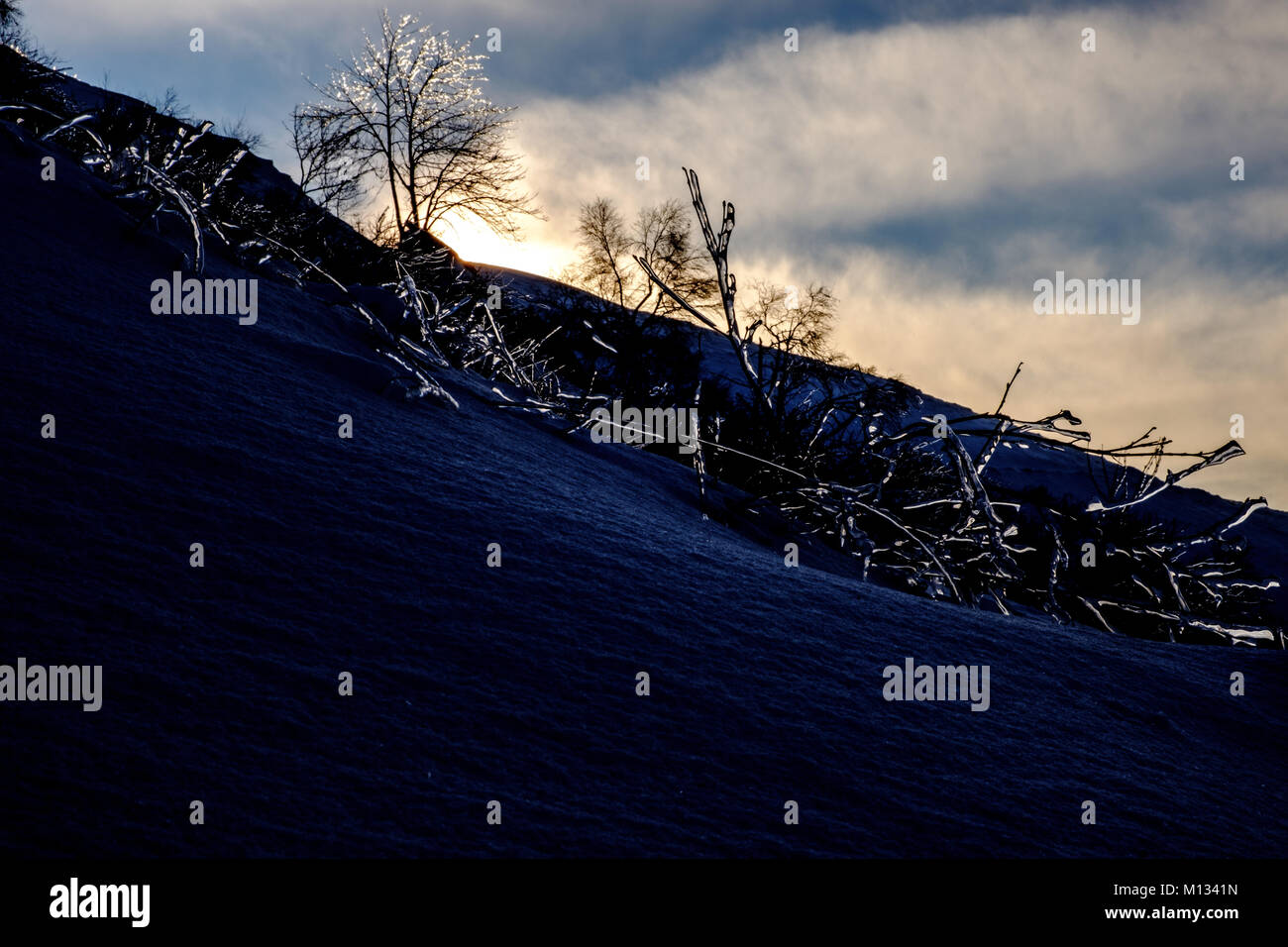 Alba e alberi congelati. Paesaggio invernale Foto Stock