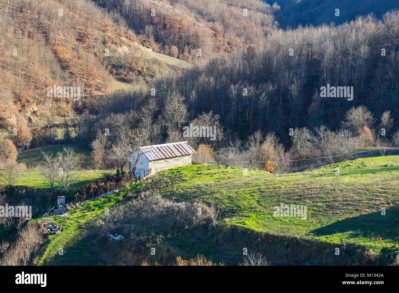 Casa nel Bosco in autunno, colorate e alberi e foglie Foto Stock