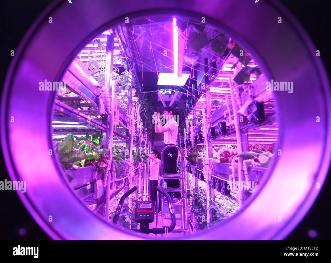 (180126) -- PECHINO, Gennaio 26, 2018 (Xinhua) -- volontari lavorano in cabina a Beihang University di Pechino, Gennaio 26, 2018. Due maschi e due femmine da Beihang University, il secondo gruppo di volontari che soggiornano in Yuegong-1, noto anche come Lunar Palace 1, completata la seconda fase della sua 365 giorno sul terreno di esperimento venerdì, l'impostazione di un record del mondo per la permanenza più lunga in un self-contained "cabina". Il primo gruppo di volontari, che precedentemente avevano soggiornato in cabina per 60 giorni, re-immessa la cabina per sostituire il secondo gruppo, iniziando la terza ed ultima fase che durerà 105 d Foto Stock