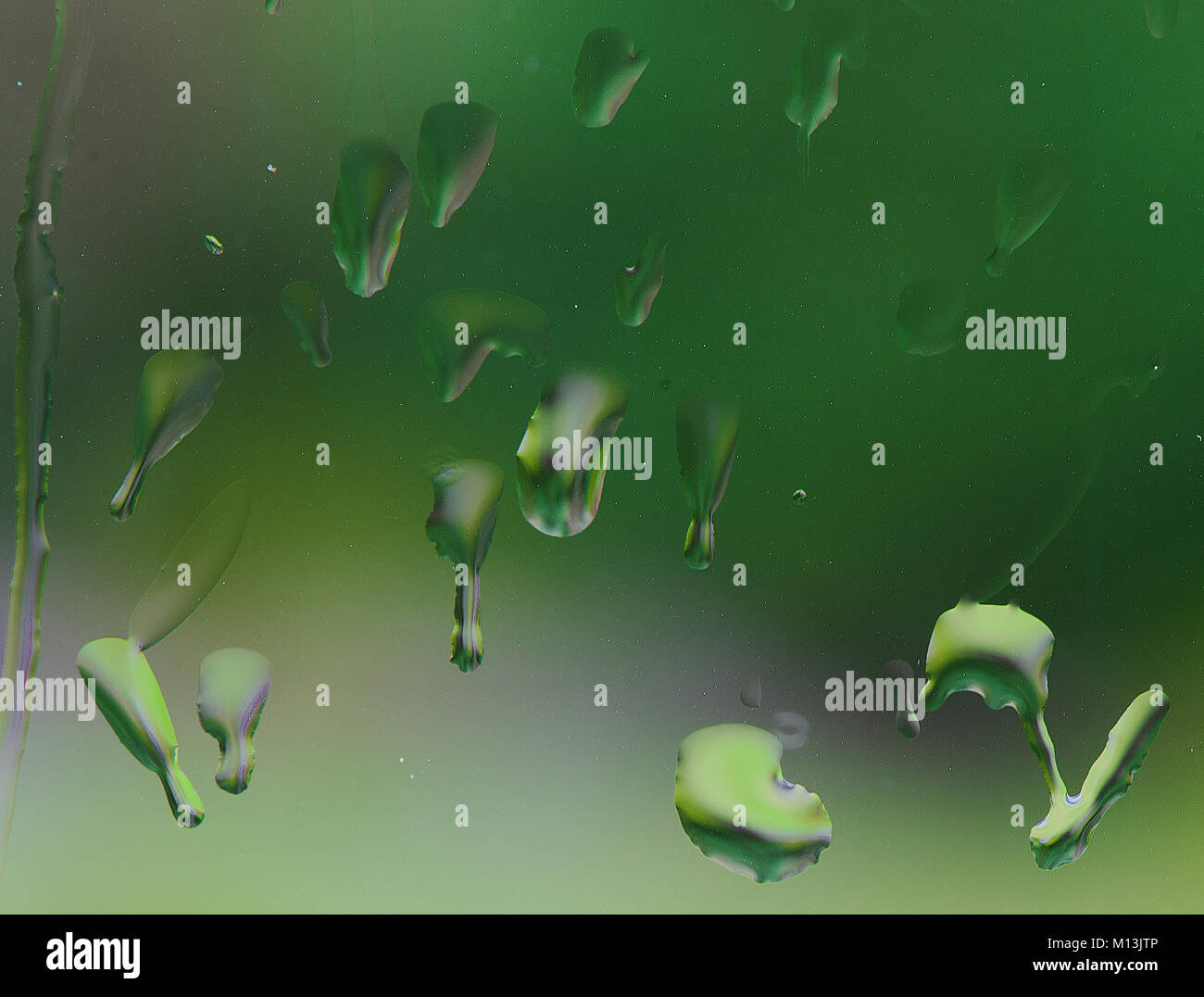 Green modello formato da pioggia su una finestra con alberi in background Foto Stock