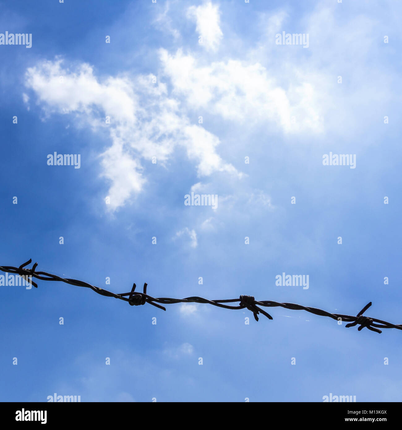 Filo spinato sul recinto con cielo blu di sentirsi preoccupante Foto Stock