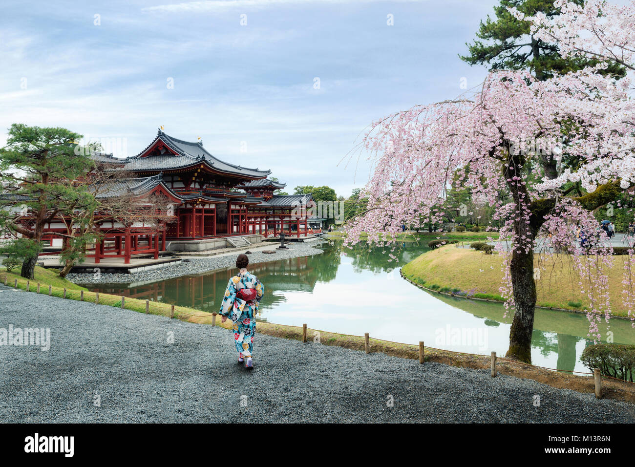 Donne asiatiche indossando il tradizionale giapponese in kimono Byodo-in tempio di Uji, Kyoto, Giappone durante la primavera. Fiore di Ciliegio in Kyoto, Giappone. Foto Stock
