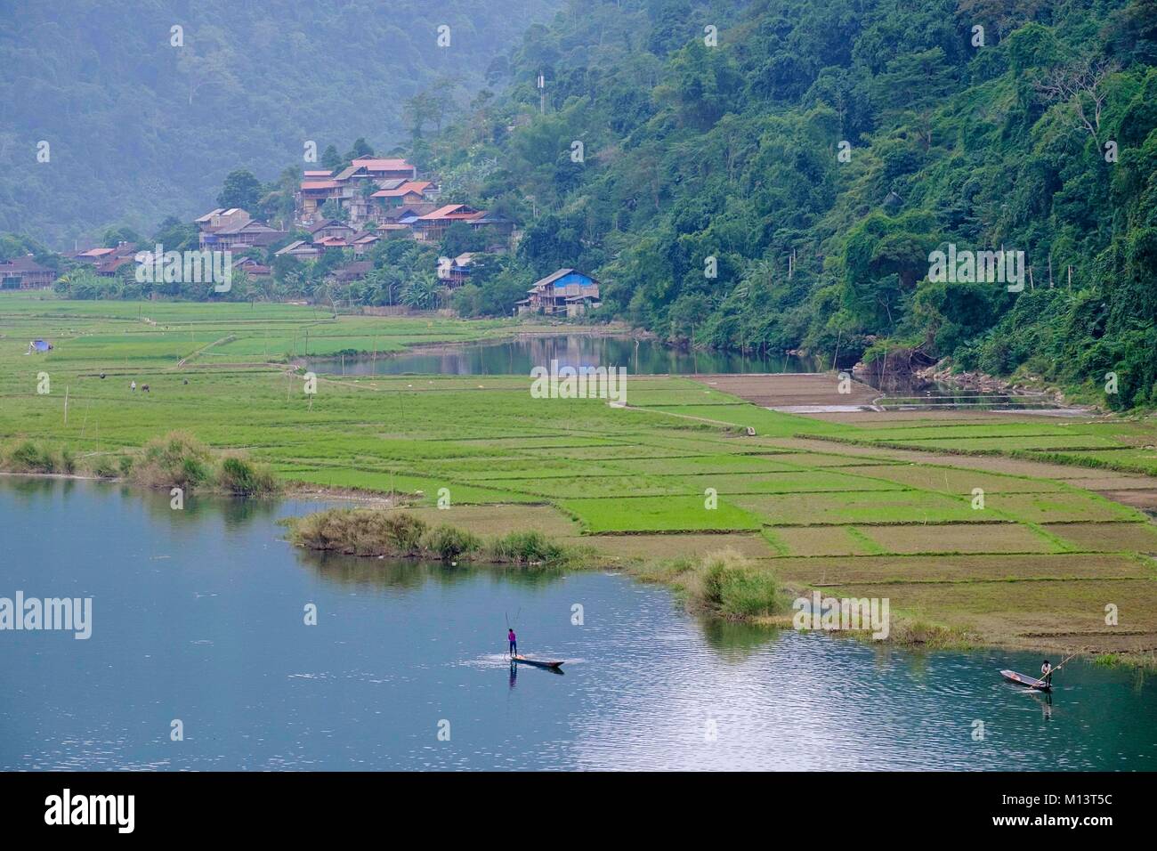 Il Vietnam, provincia di Bac Kan, Parco Nazionale di Ba Be, Ba essere Lago, boatman Foto Stock