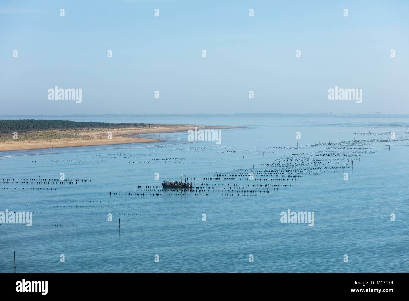 Francia, Vendee, La Faute sur Mer, una barca in mitili bouchots prima della Pointe d'Arcay (vista aerea) Foto Stock