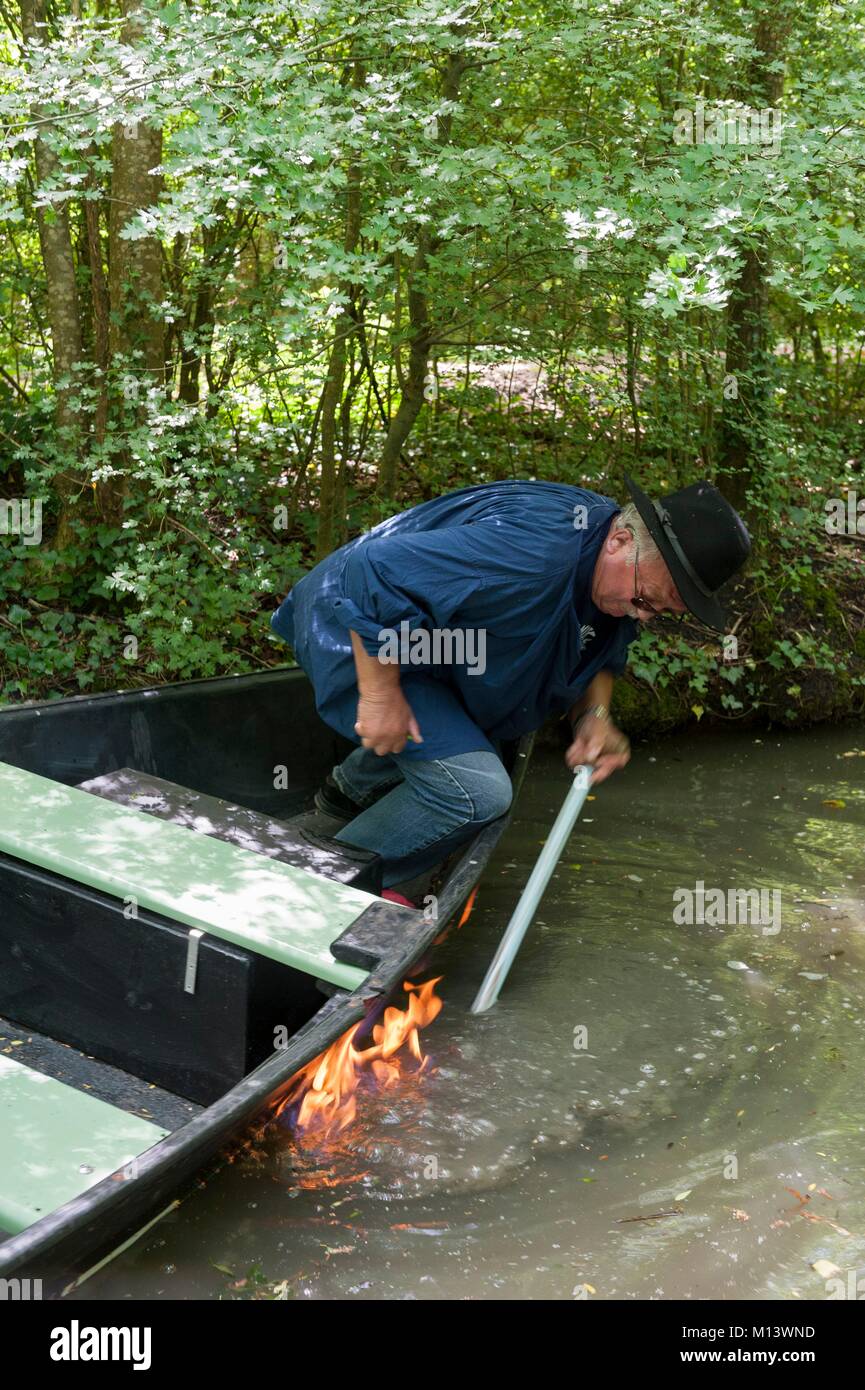 Francia, Deux Sèvres, Arcais, Marais Poitevin parco interregionale denominata Grand Sito di Francia, viaggio in barca nel Marais Poitevin, Venezia verde, metano ha infiammato il fuoco sull'acqua, metano proviene dalla fermentazione di piante Foto Stock