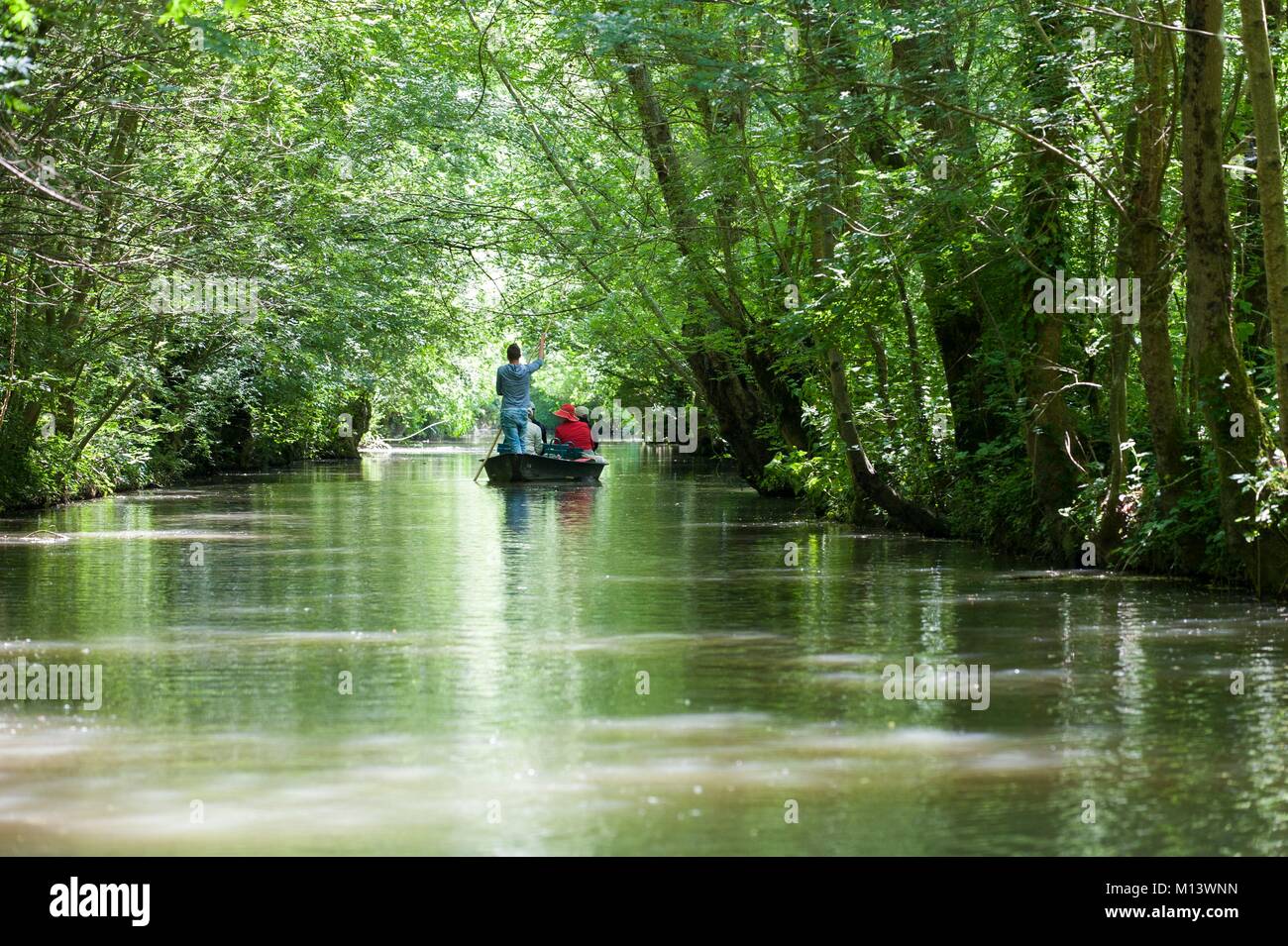 Francia, Deux Sèvres, Arcais, Marais Poitevin parco interregionale denominata Grand Sito di Francia, viaggio in barca nel Marais Poitevin, Venezia verde Foto Stock