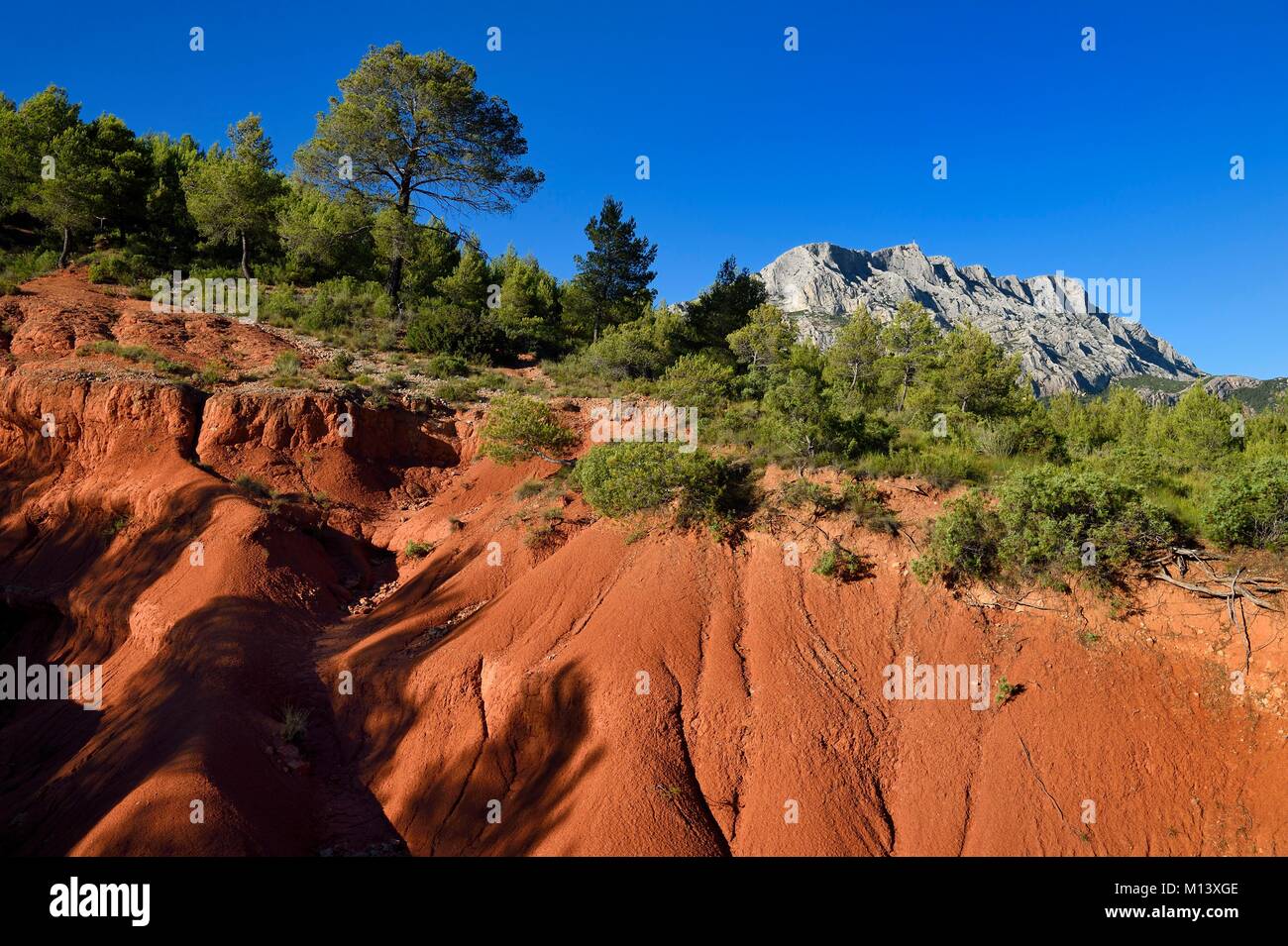 Francia, Bouches du Rhone, Aix en Provence regione, verso Le Tholonet, la Sainte Victoire montagna, Cezanne road Foto Stock