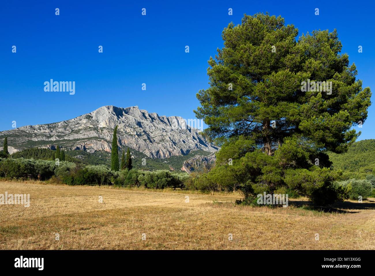 Francia, Bouches du Rhone, Aix en Provence regione, verso Le Tholonet, la Sainte Victoire montagna, Cezanne road Foto Stock