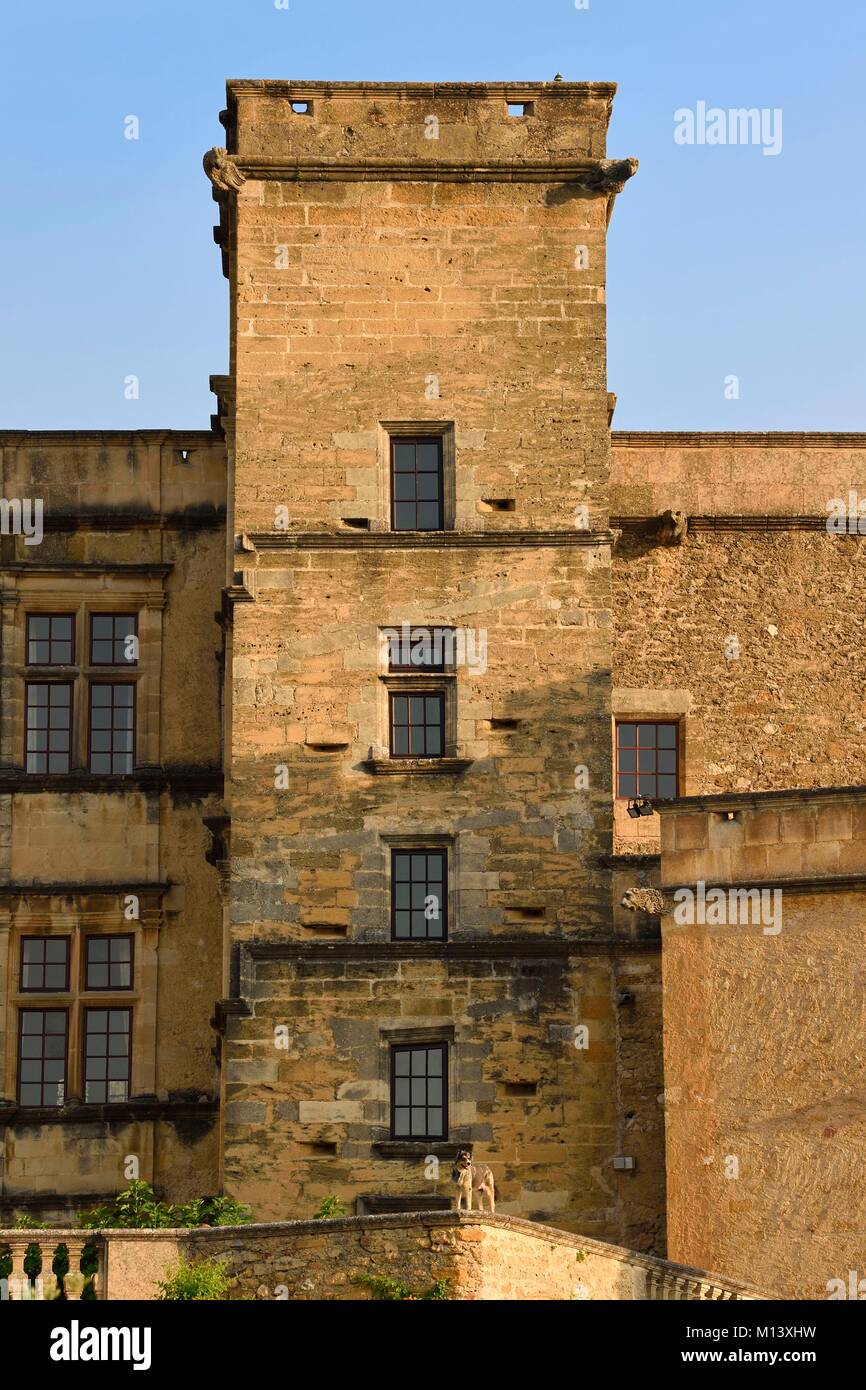 Francia, Vaucluse, Parc Naturel Regional du Luberon (Parco naturale regionale del Luberon), Lourmarin, etichettati Les Plus Beaux Villages de France (i più bei villaggi di Francia), il castello del XV e XVI secolo Rinascimento Foto Stock