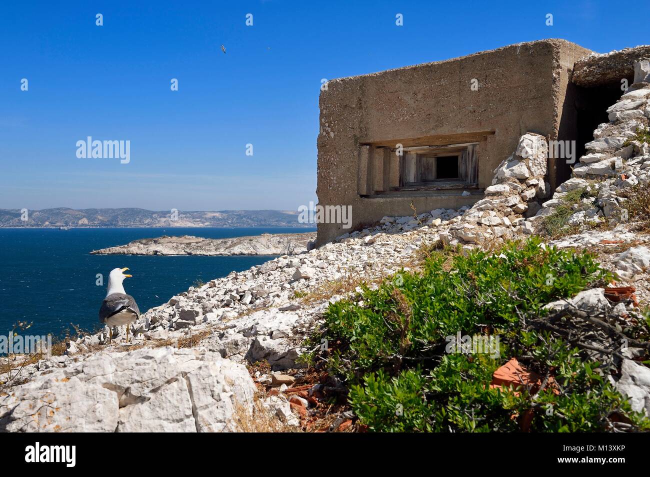 Francia, Bouches du Rhone, Marsiglia, Calanques Parco Nazionale arcipelago di isole Frioul, Pomegues isola, batteria francese del semaforo (1880-1883), un piccolo bunker tedesco che ha conservato il suo cassero in legno Foto Stock