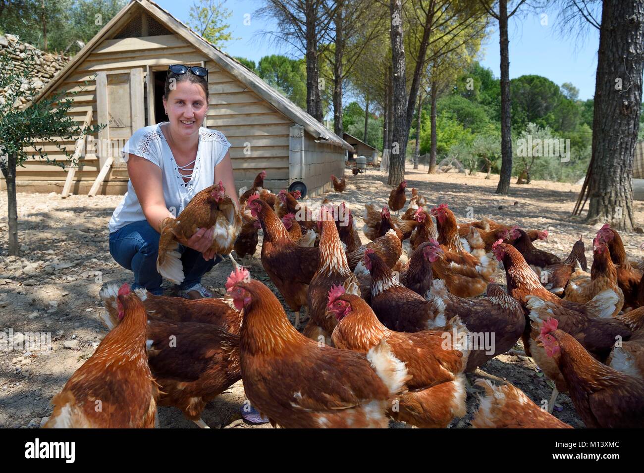Francia, Var, Provence Verte, Correns, primo villaggio organico di Francia, Poulailler de Lea, l'agricoltore biologico Lea Brunet circondato dai suoi galline ovaiole Foto Stock
