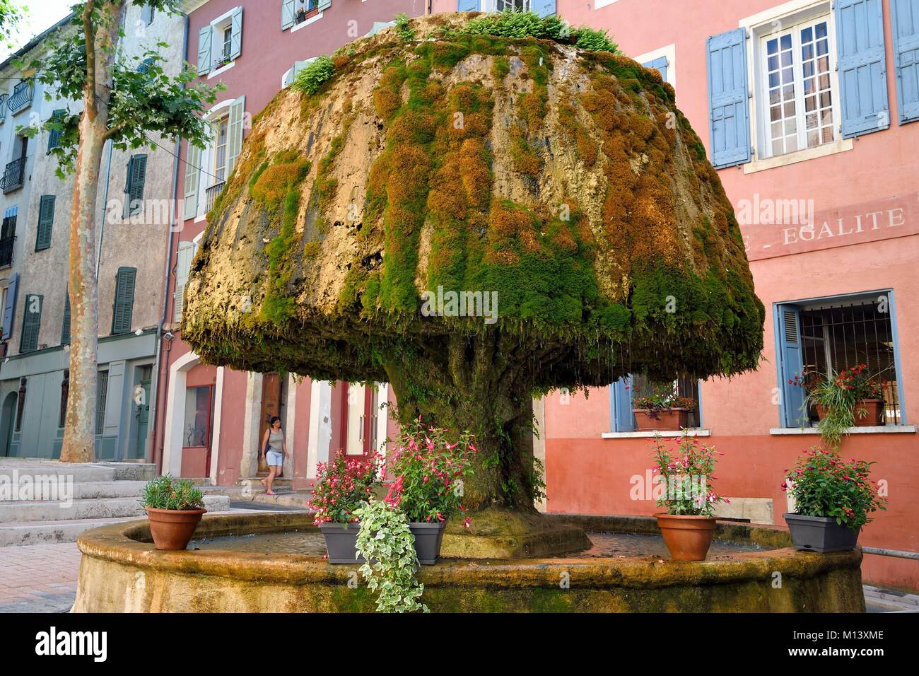 Francia, Var, Provence Verte, Barjols, fontana ricoperta con il tufo e moss di fronte al municipio Foto Stock