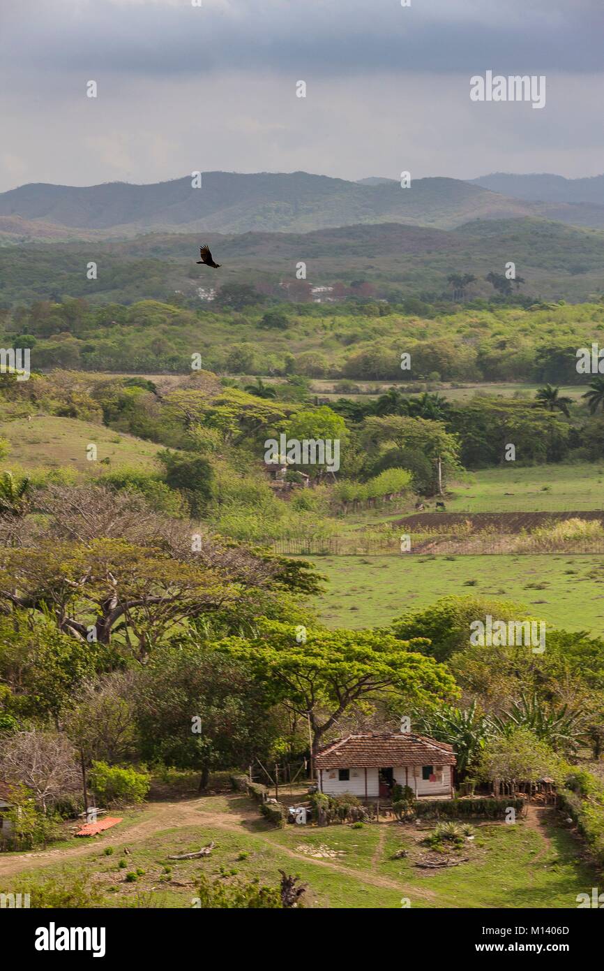 Cuba, Sancti Spiritus Provincia, Trinidad, una città elencati come patrimonio mondiale dall'UNESCO, la Valle de los Ingenios, la torre Manaca Iznaga Foto Stock