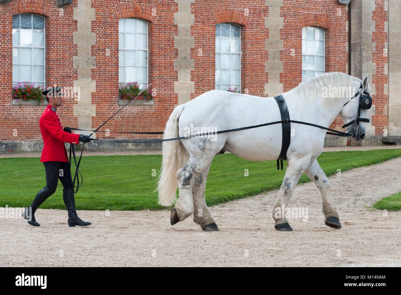 Francia, Orne, perno au Haras, perno prigioniero nazionale, presentazione di dressage nel cortile del castello Foto Stock