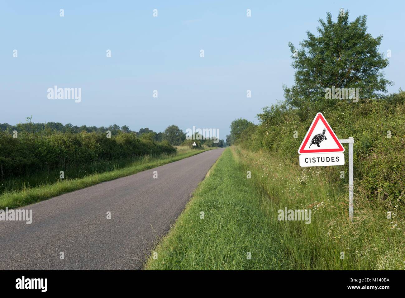 Francia, Indre, Saint Michel en Brenne Brenne, Parco Naturale Regionale, cartello stradale vicino la Cherine Riserva Naturale, Protezione della Testuggine palustre (Emys orbicularis) Foto Stock