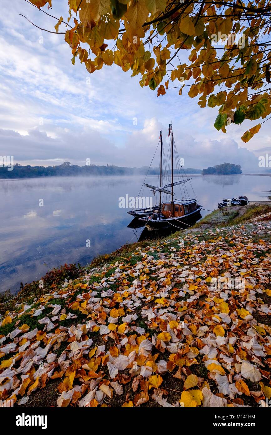 Francia, Indre et Loire, la Valle della Loira sono classificati come patrimonio mondiale dall'UNESCO, La Chapelle sur Loire, barche tradizionali Foto Stock