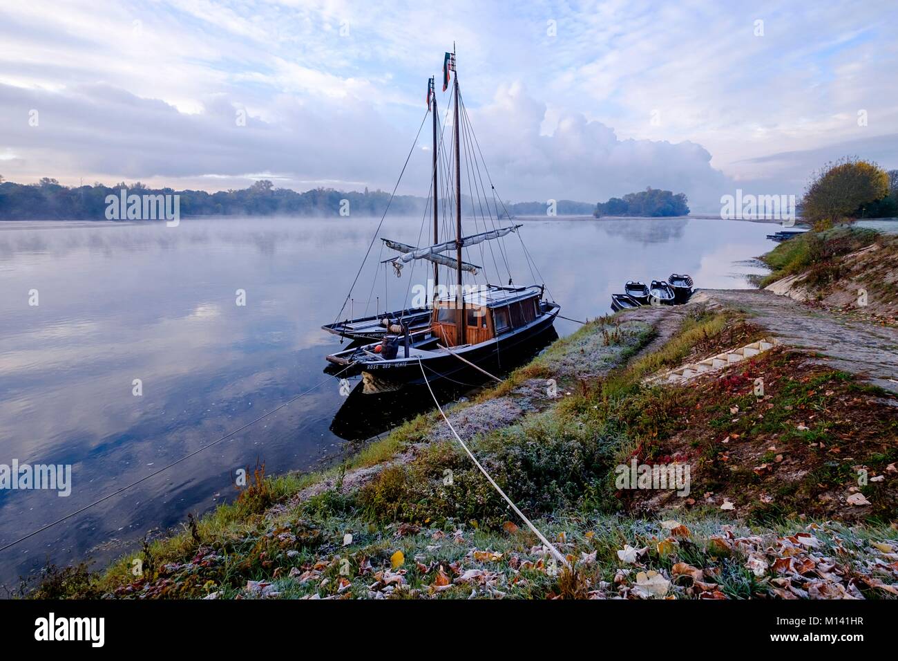 Francia, Indre et Loire, la Valle della Loira sono classificati come patrimonio mondiale dall'UNESCO, La Chapelle sur Loire, barche tradizionali Foto Stock