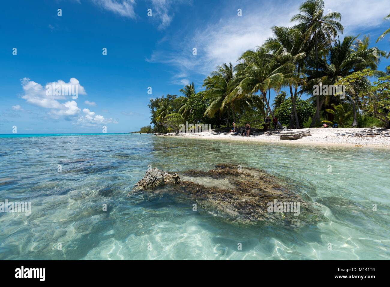 Francia, Polinesia francese, Arcipelago Tuamotu, Rangiroa Atoll, crociere a bordo di Aranui 5 miscelati nave cargo, patata corallo e palme Foto Stock
